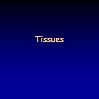 Tissues