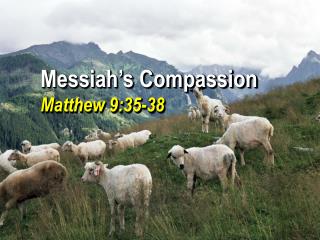 Messiah’s Compassion Matthew 9:35-38