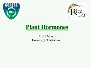 Plant Hormones