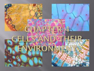 Chapter 4 Cells and Their Environment