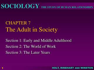 CHAPTER 7 The Adult in Society