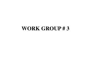 WORK GROUP # 3