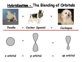 Hybridization - The Blending of Orbitals