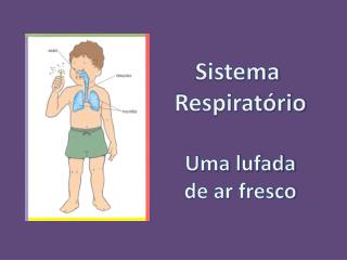 Sistema Respiratório Uma lufada de ar fresco