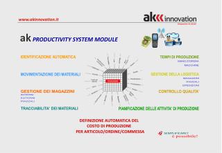 PER ARTICOLO/ORDINE/COMMESSA