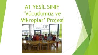 A1 YEŞİL SINIF ‘Vücudumuz ve Mikroplar’ Projesi