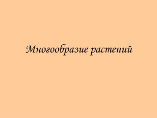 Многообразие растений