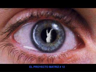 EL PROYECTO MATRIZ # 12