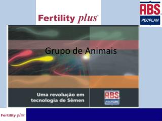 Grupo de Animais