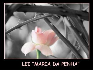 LEI “MARIA DA PENHA”