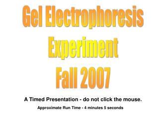 Gel Electrophoresis Experiment Fall 2007