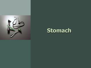 Stomach