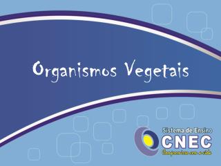 Organismos Vegetais