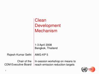 Rajesh Kumar Sethi Chair of the CDM Executive Board