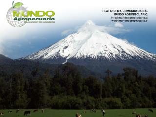 PLATAFORMA COMUNICACIONAL MUNDO AGROPECUARIO, info@mundoagropecuario.cl mundoagropecuario.cl