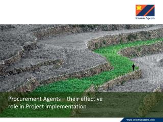 Procurement Agents – their effective role in Project implementation