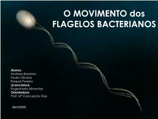 O MOVIMENTO dos FLAGELOS BACTERIANOS