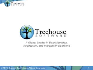 A Global Leader in Data Migration, Replication, and Integration Solutions