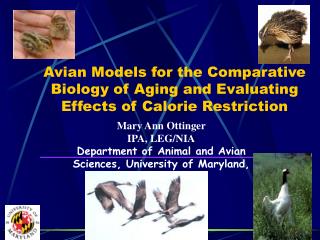Avian Models for the Comparative Biology of Aging and Evaluating Effects of Calorie Restriction