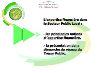 L’expertise financière dans le Secteur Public Local :