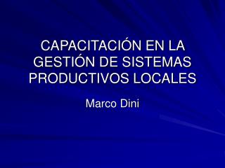 CAPACITACIÓN EN LA GESTIÓN DE SISTEMAS PRODUCTIVOS LOCALES