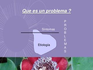 Que es un problema ?