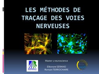 Les Méthodes de traçage des voies nerveuses