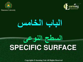 السطح النوعى SPECIFIC SURFACE