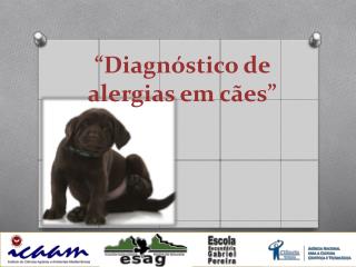 “Diagnóstico de alergias em cães”