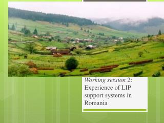 Working session 2: Experience of LIP support systems in Romania