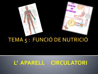 TEMA 5 : FUNCIÓ DE NUTRICIÓ