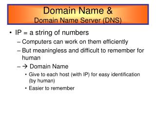 Domain Name &amp; Domain Name Server (DNS)