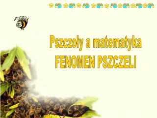 Pszczoły a matematyka FENOMEN PSZCZELI