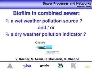 Biofilm in combined sewer:  a wet weather pollution source ? and / or