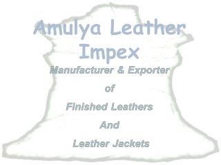 Amulya Leather Impex