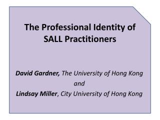 The Professional Identity of SALL Practitioners
