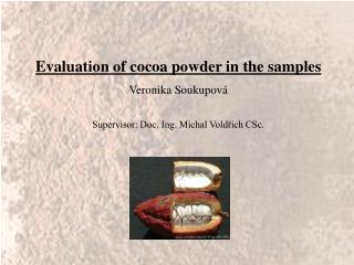 Evaluation of cocoa powder in the samples Veronika Soukupová