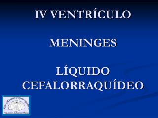 IV VENTRÍCULO MENINGES LÍQUIDO CEFALORRAQUÍDEO