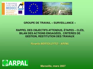 GROUPE DE TRAVAIL « SURVEILLANCE »