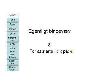 Egentligt bindevæv