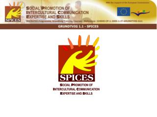 SOCIAL PROMOTION OF INTERCULTURAL COMMUNICATION EXPERTISE AND SKILLS