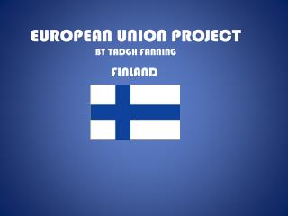 EUROPEAN UNION PROJECT BY TADGH FANNING