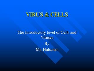 VIRUS &amp; CELLS