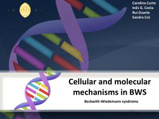 Cellular and molecular mechanisms in BWS