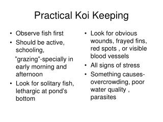 Practical Koi Keeping