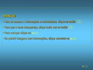 ATENÇÃO Para ter acesso a informações e curiosidades, clique no botão