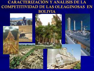 CARACTERIZACIÓN Y ANÁLISIS DE LA COMPETITIVIDAD DE LAS OLEAGINOSAS EN BOLIVIA