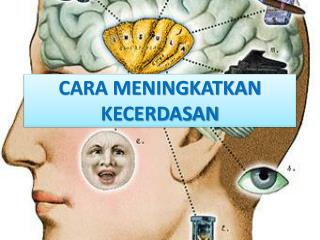 CARA MENINGKATKAN KECERDASAN