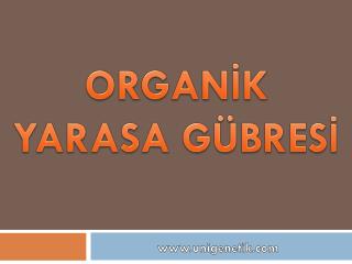 ORGANİK YARASA GÜBRESİ