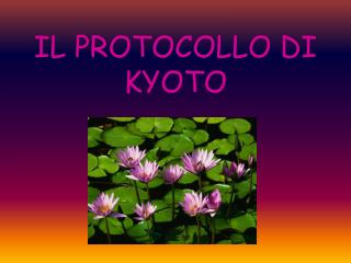 IL PROTOCOLLO DI KYOTO